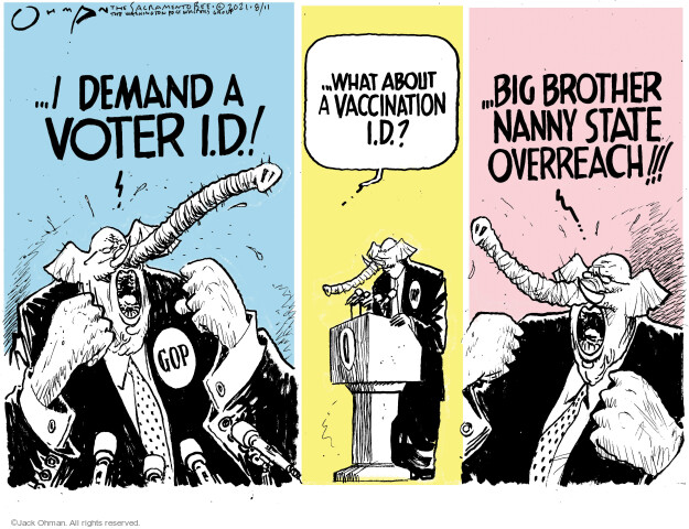 … I demand a voter I.D.! GOP … What about a vaccination I.D.? … Big Brother Nanny State overreach!!!
