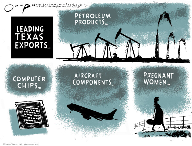 Leading Texas exports … Petroleum products … Computer chips … Aircraft components … Pregnant women … 
