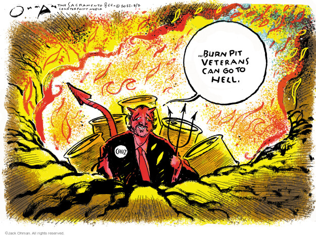 … Burn pit veterans can go to hell. Cruz.
