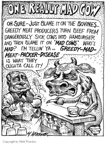 One Really Mad Cow.  Oh sure - just blame it on the bovines ... Greedy meat producers turn beef from dangerously sick cows into hamburger and then blame it on "mad cows."  Whos mad?  Im tellin ya ... Greedy-Mad-Meat-Packer-Disease is what they oughta call it!