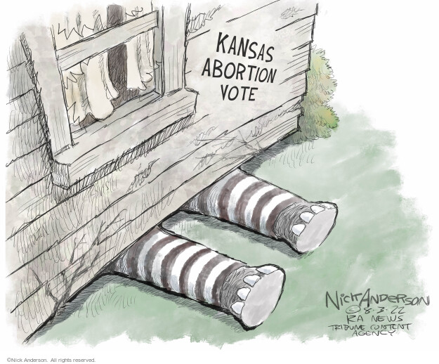 Kansas abortion vote.

