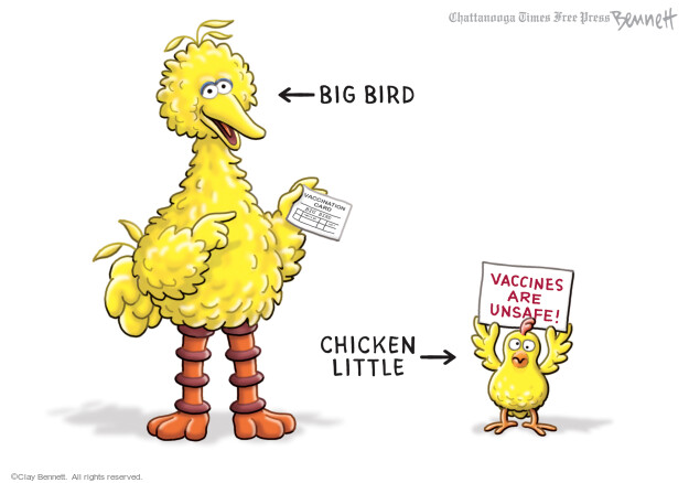 Big Bird. Vaccines are unsafe! Chicken Little. Vaccination Card. Big Bird.
