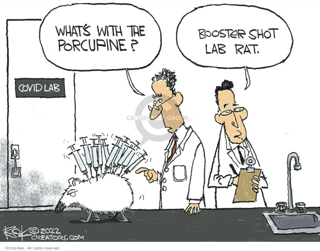 Whats with the porcupine? Booster shot lab rat. Covid Lab.
